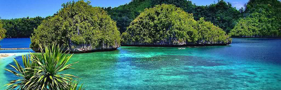 https://dev.thetravelguruinc.com/wp-content/uploads/2012/10/El-Nido-Palawan-Water.jpg
