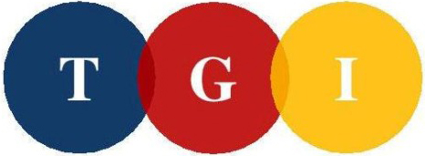 The Travel Guru Inc
